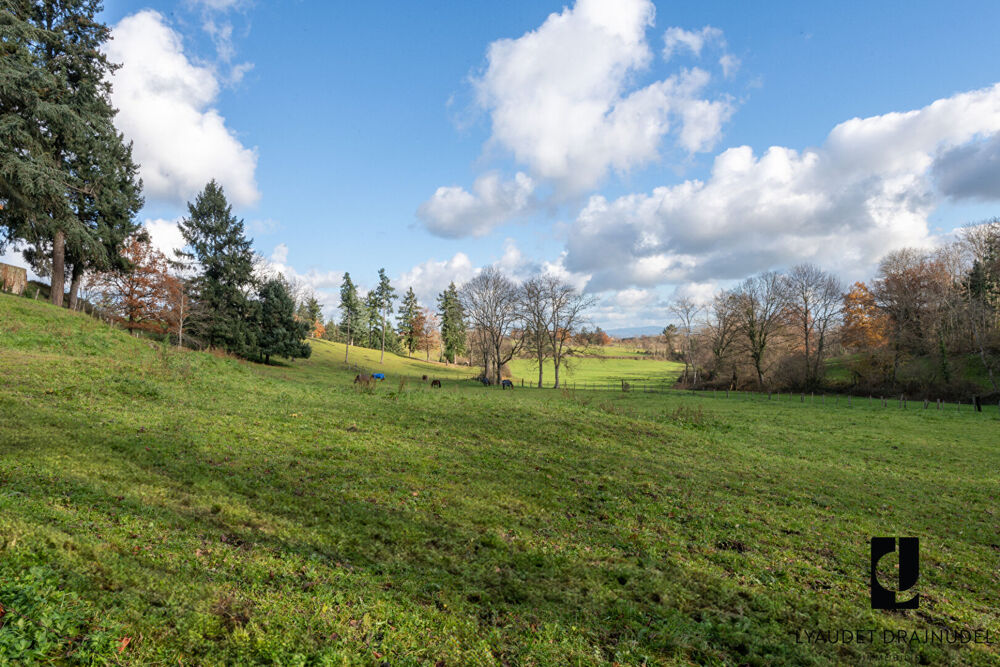  vendre  Maison Ambierle (42820)
