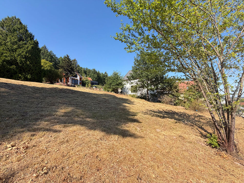 Vente Terrain Terrain constructible OBERHASLACH 7 ares 35 Oberhaslach