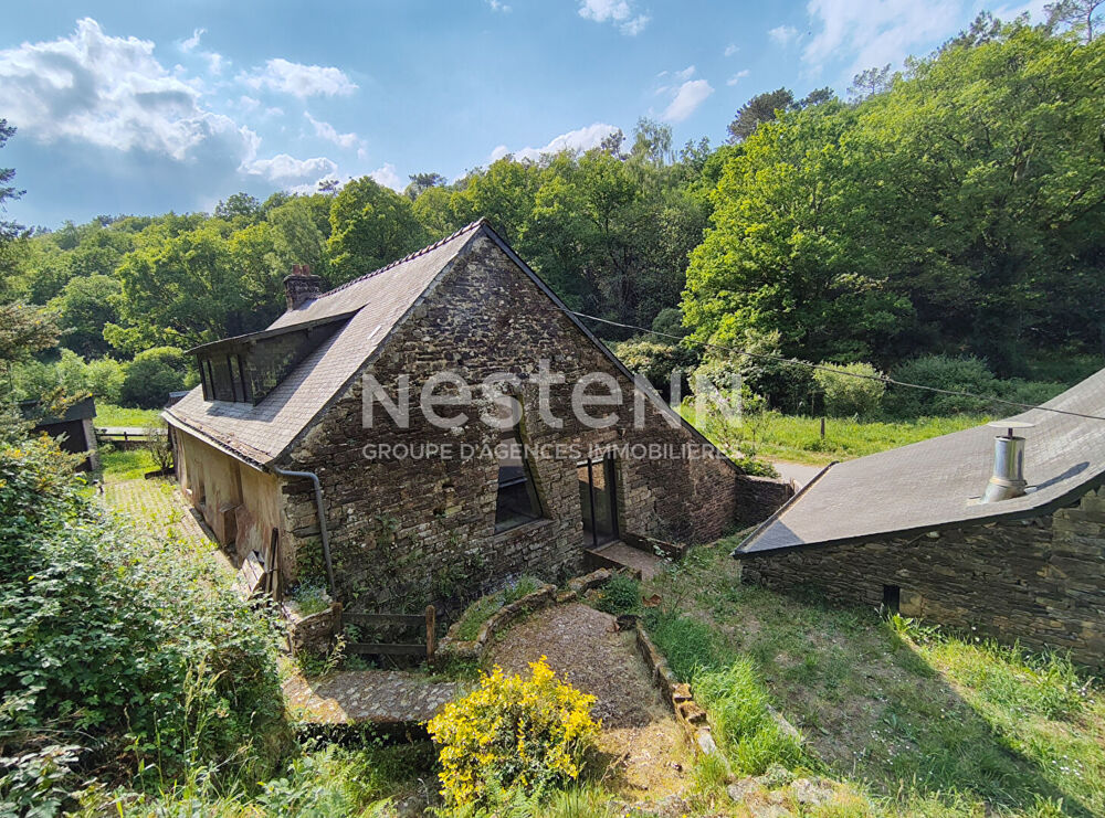 Maison de charme à vendre à Pluherlin - Environnement exceptionnel sur 45390 m²