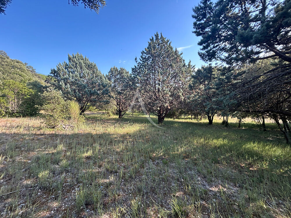 Vente Terrain TERRAIN À BÂTIR DE 1 510 M² ? SUPERBE ENVIRONNEMENT ET VUE DÉGAGÉE Alairac