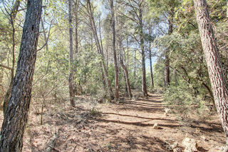  Terrain � vendre 104010 m�