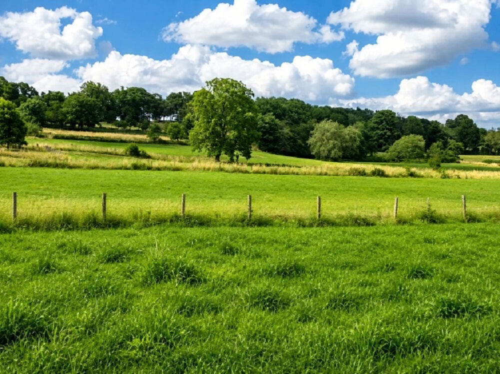 Vente Maison Chalet à contruire clé en main, sur terrain de 700m2 Blamont