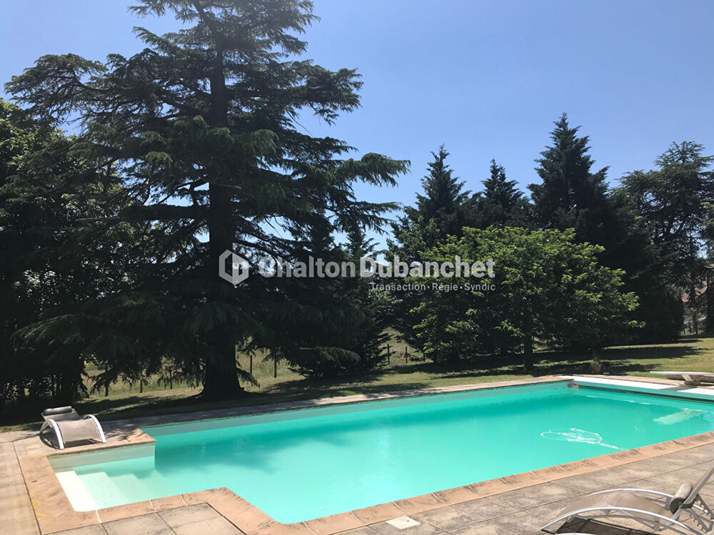 � vendre  Villa Saint-Alban-les-Eaux (42370)