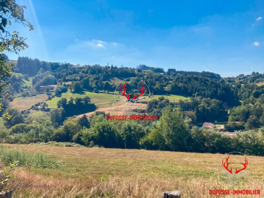 Vente Terrain 10050 m² - Vue 4