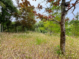  Terrain � vendre 379 m�