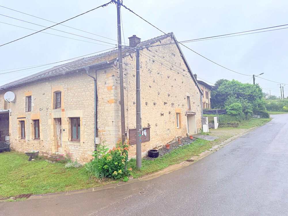 Vente Maison Maison en pierre rénovée ? Beaux volumes et vie de plain-pied Harricourt