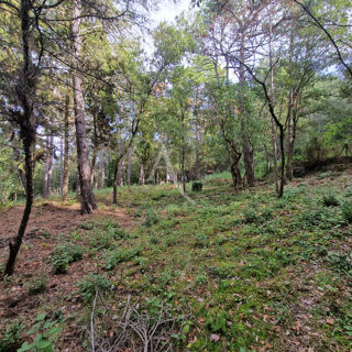  Terrain  vendre 2050 m