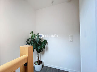  Appartement à louer 3 pièces 55 m²