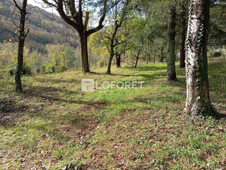  Terrain à vendre 21568 m²