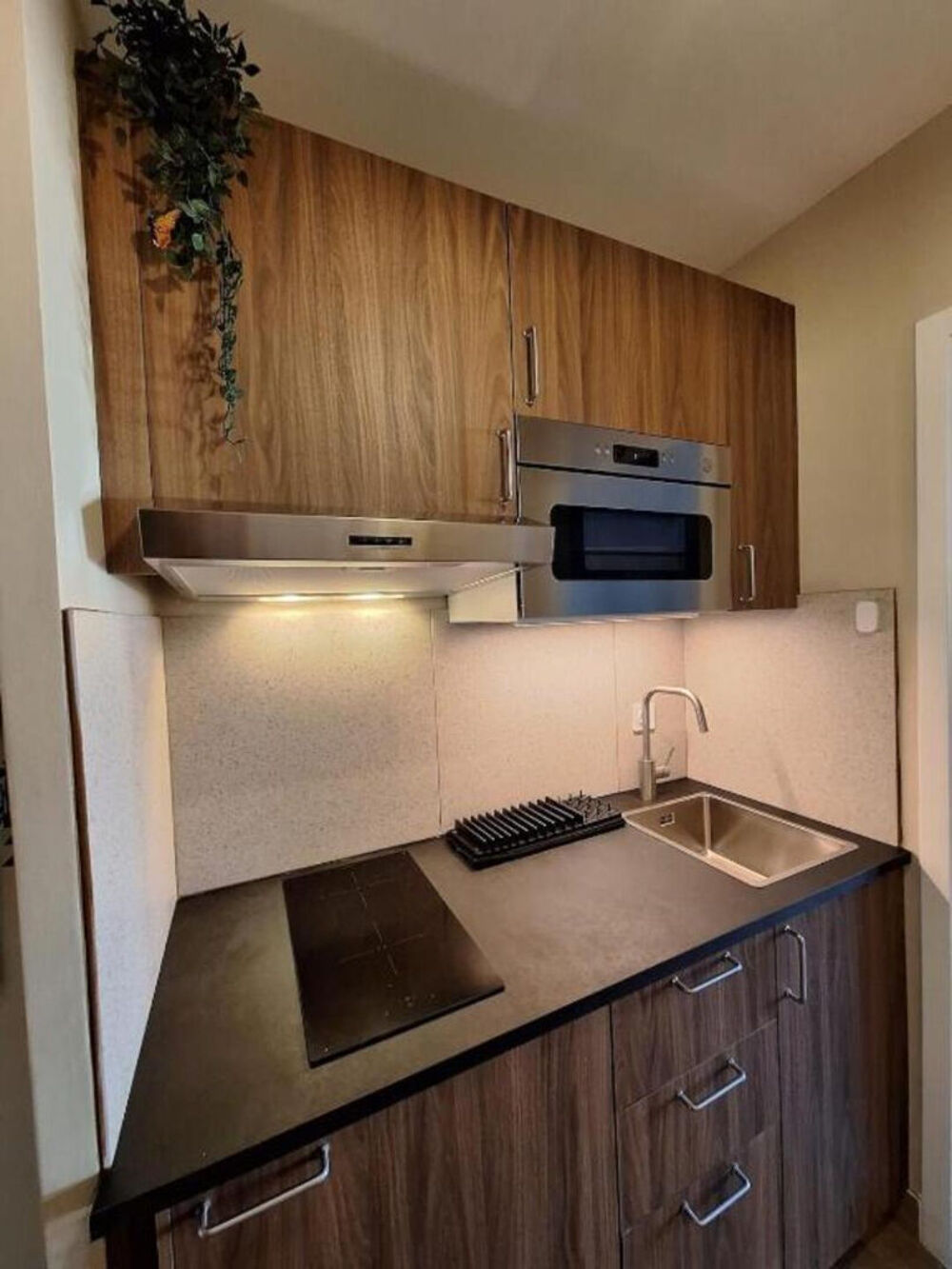 Location Appartement Appartement meublé Aix Les Bains 1 pièce(s) 23.48 m2 Aix les bains