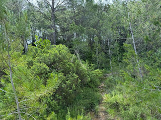  Terrain � vendre 5881 m�