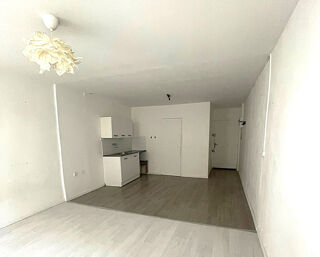 Appartement à louer 1 pièce 30 m²