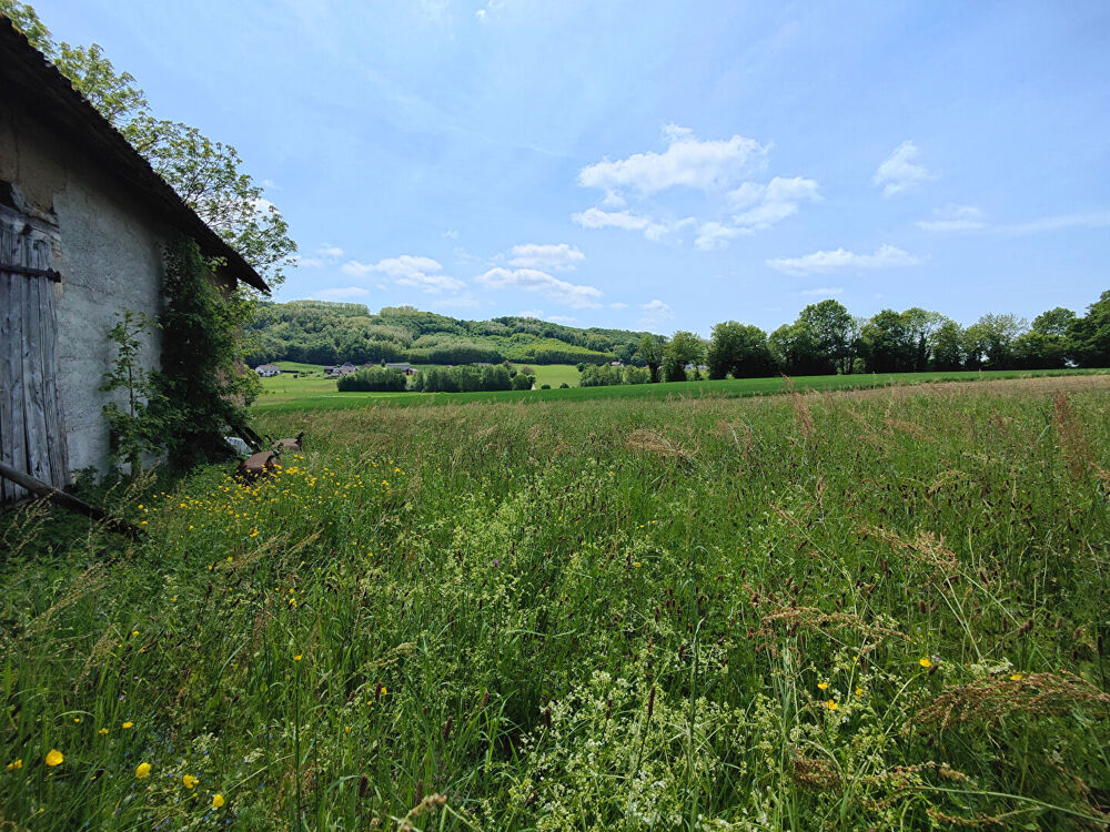 Grange à rénover - 120 m² - Romagnieu