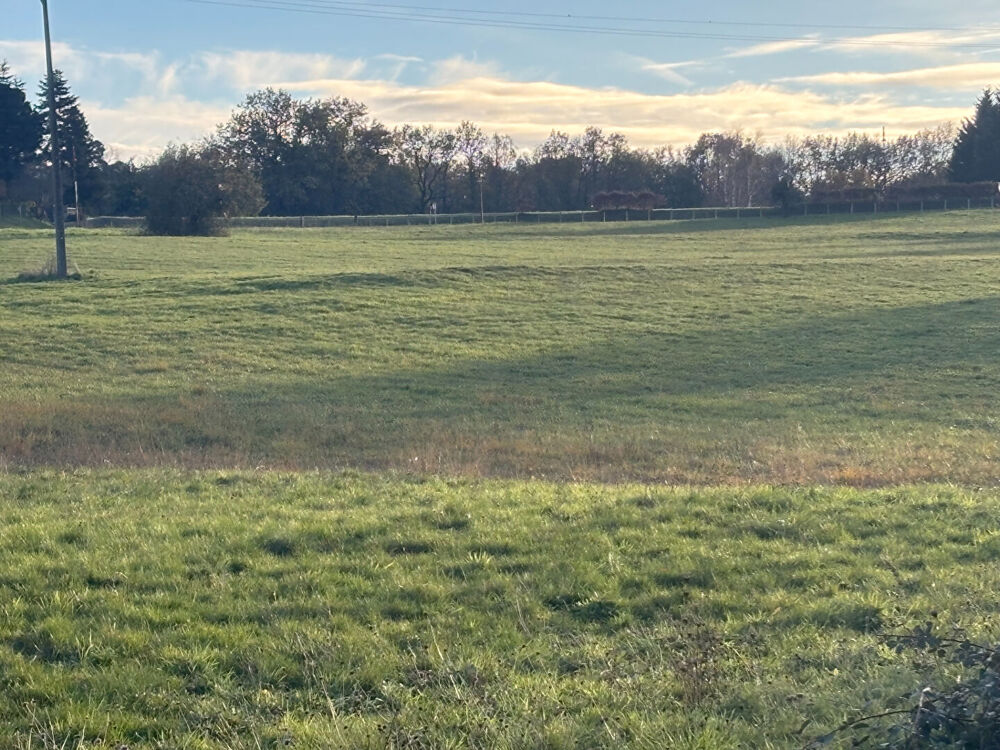 Vente Terrain Terrain Saint Geraud De Corps 5139 m2 dont 2707m² constructible Saint geraud de corps