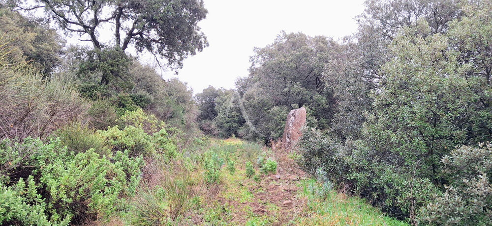 Vente Terrain Terrain de loisirs 16900 m2 FAUGERES /BEDARIEUX Faugeres