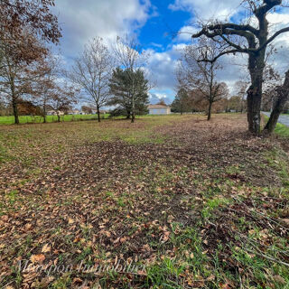 Vente Terrain Terrain Montpon Menesterol 2864 m2 dont 1340 m² constructible Montpon menesterol