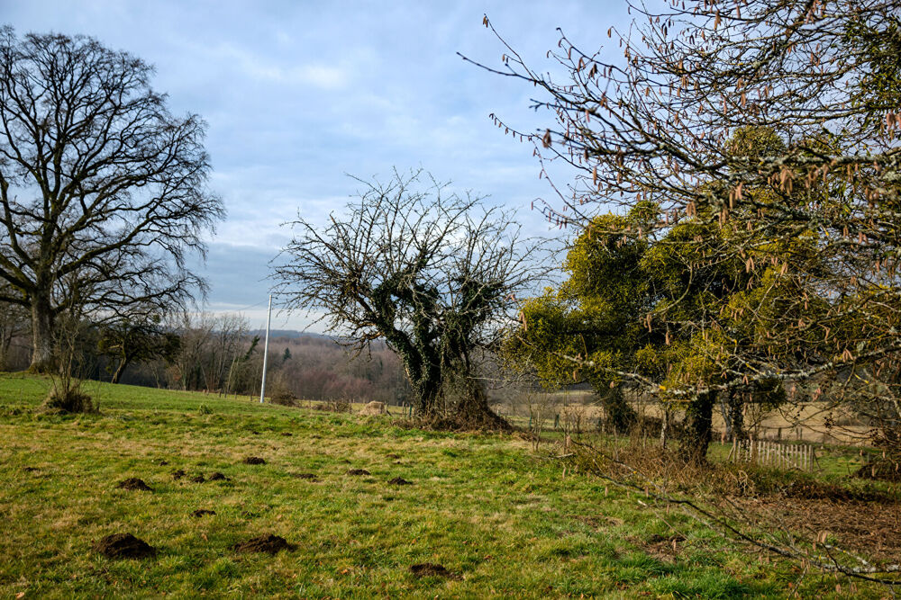 Vente Terrain Joli terrain d'un peu plus de 20 ares Lomont