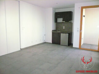  Appartement à louer 1 pièce 29 m²
