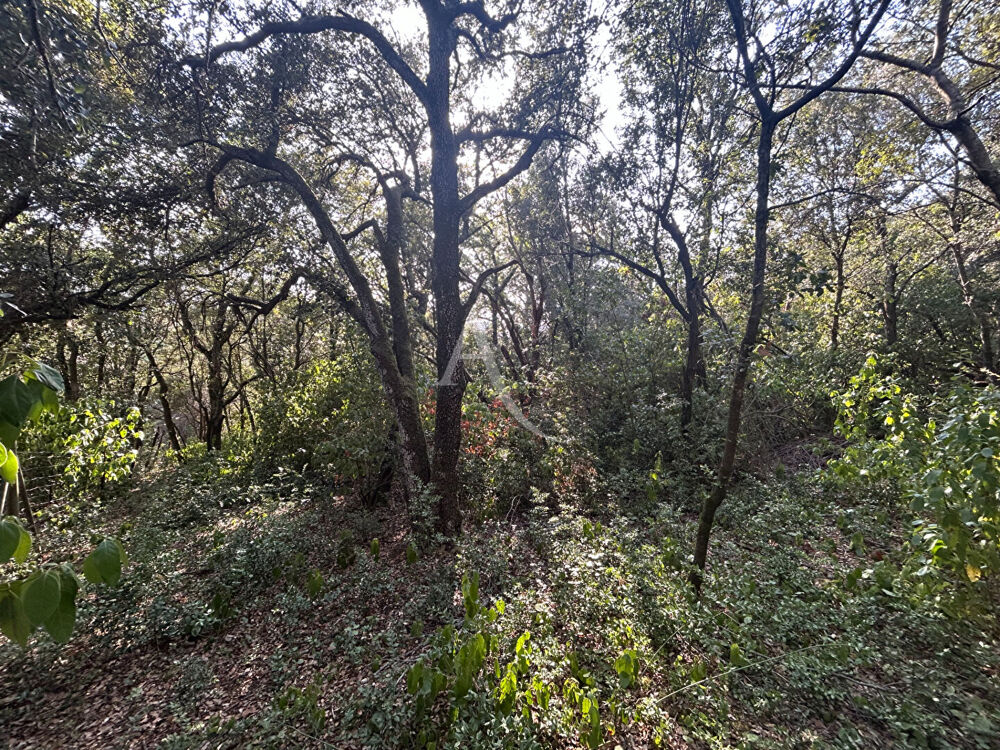 Vente Terrain TERRAIN À BÂTIR DE 1 390 M²  SUPERBE ENVIRONNEMENT ET VUE DÉGAGÉE Alairac