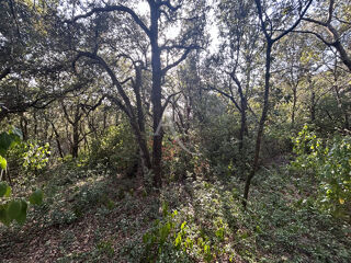  Terrain à vendre 1390 m²