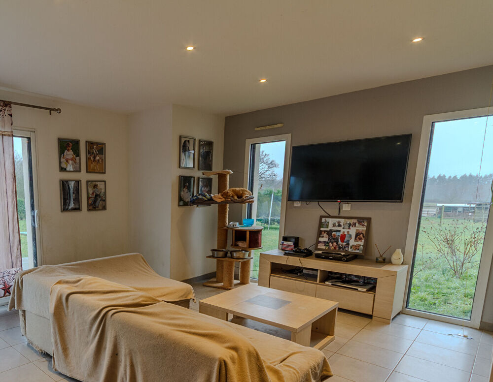 Ille-et-Vilaine : Propriété équestre professionnelle de 13 hectares avec maison de 4 chambres située aux abords de Rennes.