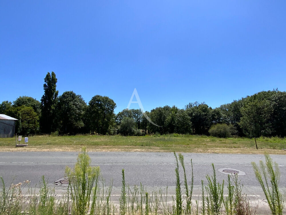 Vente Terrain Terrain St-Ciers-Du-Taillon 1138 m2 St ciers du taillon