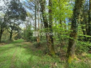  Terrain à vendre 3445 m²