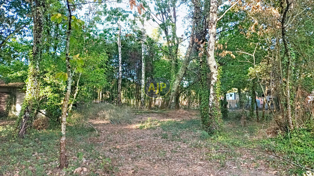 Vente Maison Maison Saint Vivien De Medoc 2 pièce(s) 45 m2 Saint vivien de medoc