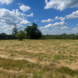  Terrain à vendre 1528 m²