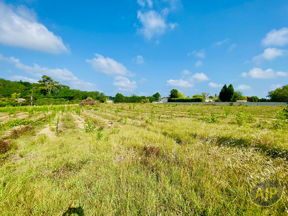 Vente Terrain Terrain Saint Germain D Esteuil 2200 m2 Saint germain d esteuil