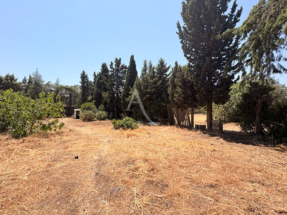 Vente Terrain Terrain Villegailhenc 855 m2 Villegailhenc