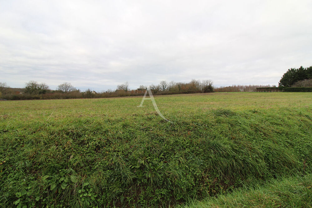 Vente Terrain Terrain Chisseaux
