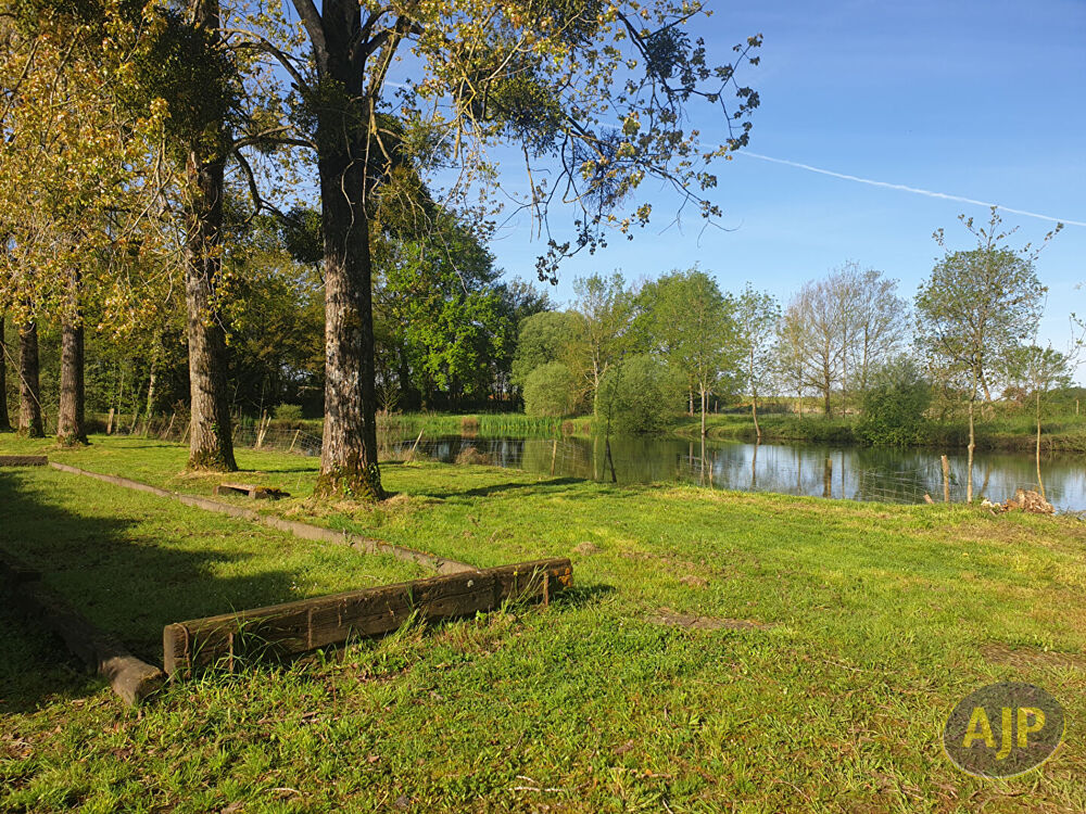 Vente Terrain Terrain Montaigu Vendee 5810 m2 Montaigu vendee