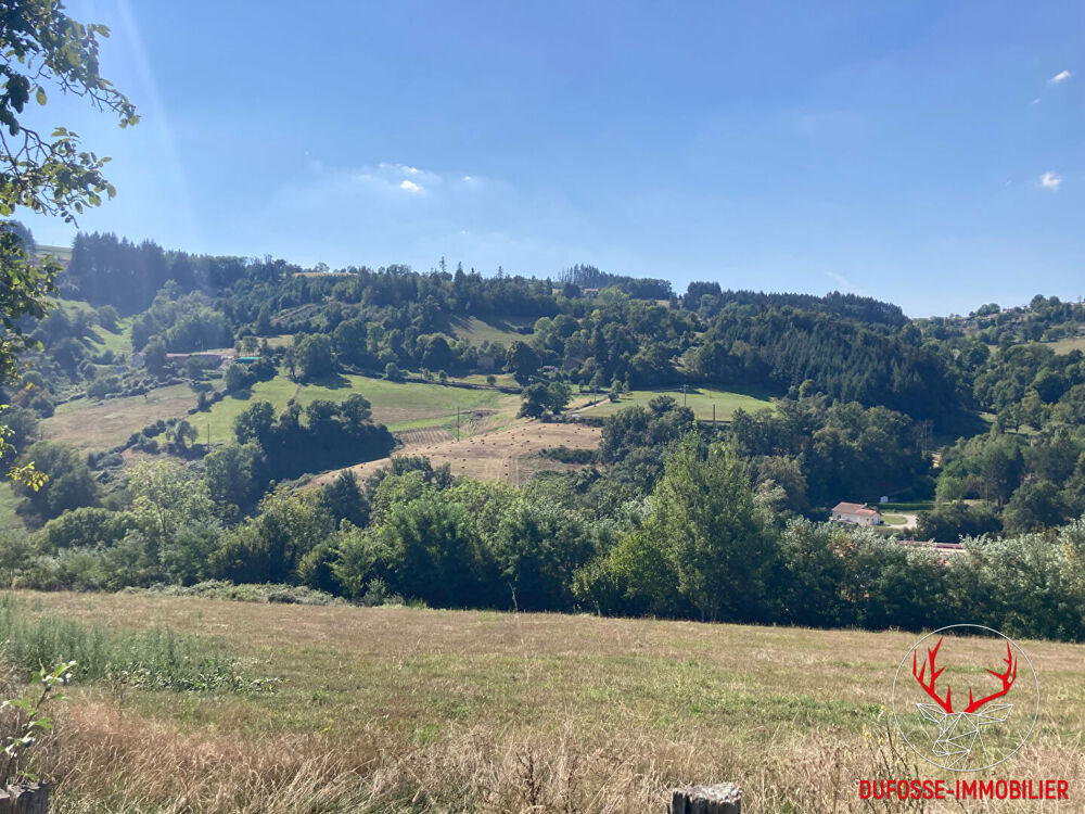 Vente Terrain TAB - Beau terrain constructible avec vue dégagée - COURS (69470) Cours