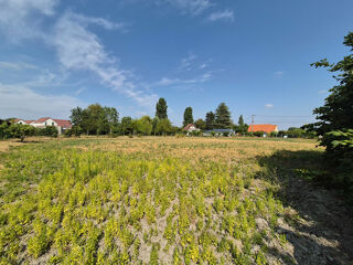  Terrain à vendre 736 m²
