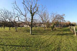  Terrain à vendre 980 m²