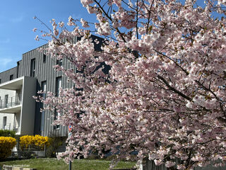  Appartement � vendre 3 pi�ces 66 m�