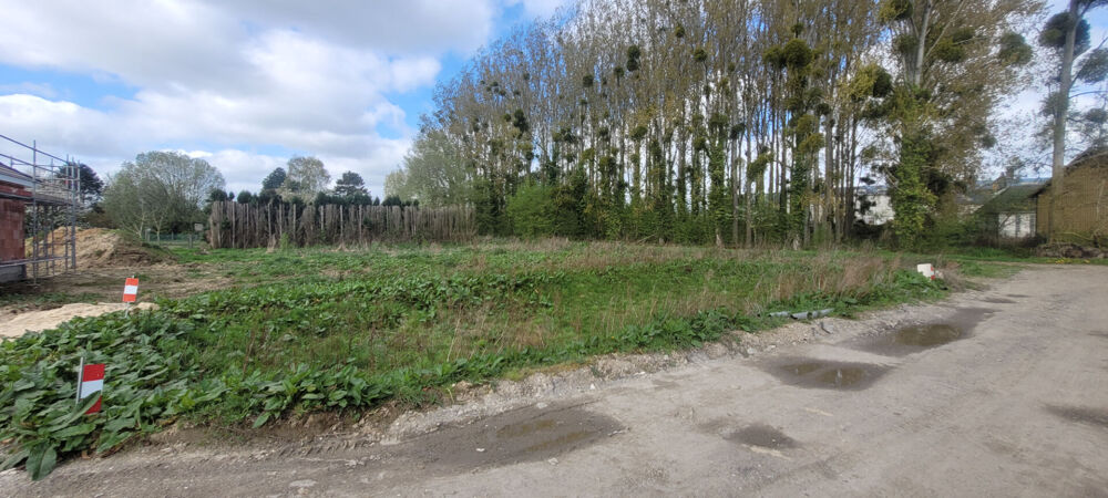 Vente Terrain Terrain Bourg Achard 951 m2 Bourg achard