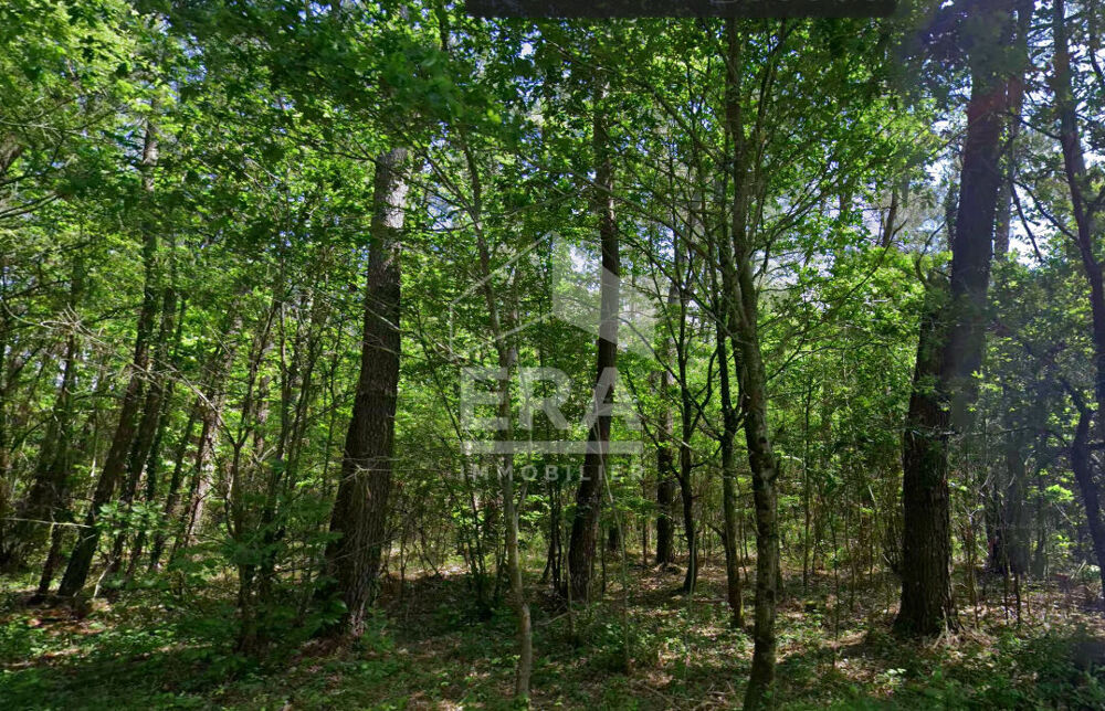 Vente Terrain BOIS Montpon menesterol