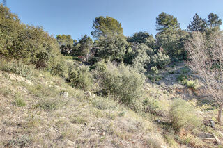  Terrain à vendre 770 m²