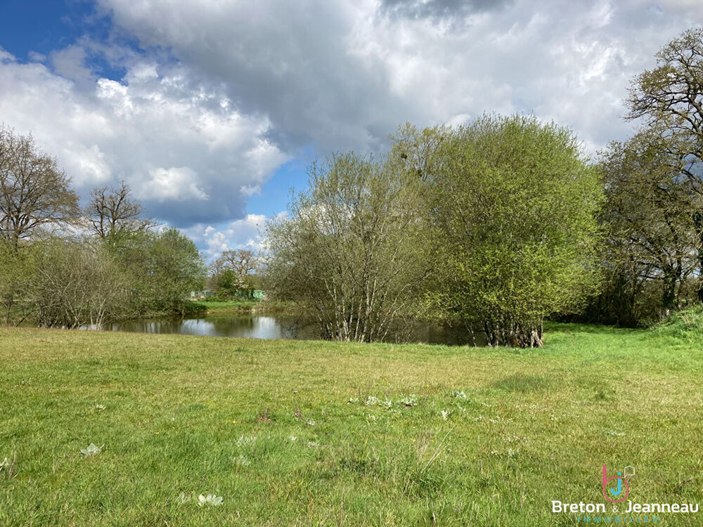 Vente Terrain Terrain de loisirs avec tang - Axe Laval-Mayenne Mayenne