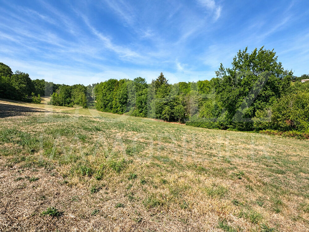 Vente Terrain Terrain Pont De Larn 6963 m2 Pont de larn