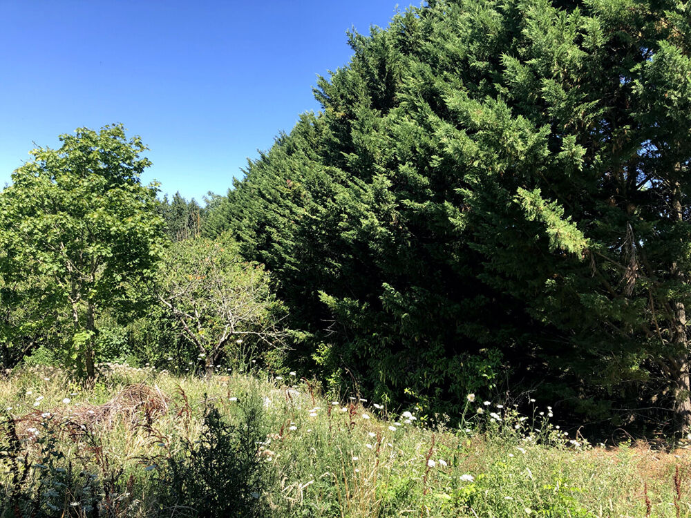 Vente Terrain Terrain à bâtir de 1371m2 Auterive