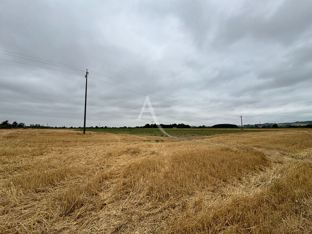 Vente Terrain Lisle-sur-tarn - Terrain de 4 hectares Lisle sur tarn