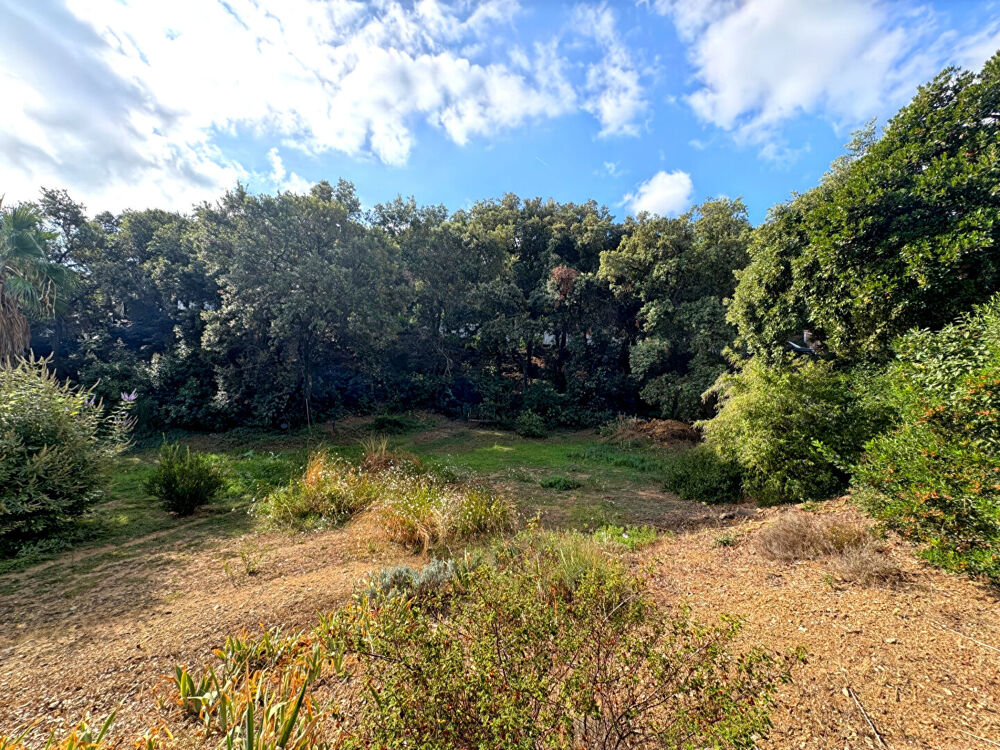 Vente Terrain Terrain Saint Aygulf 1000 m2 Saint aygulf
