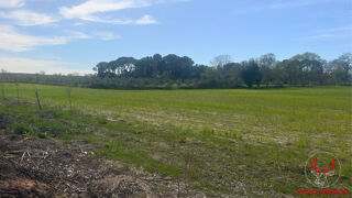  Terrain à vendre 43450 m²