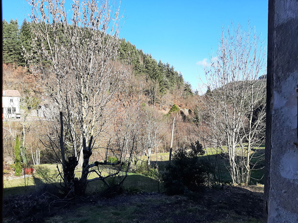 Vente Maison Ardèche : ensemble de 2 maisons en pierre dans LA VALLEE DU TALARON Saint christol