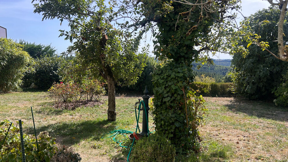 Vente Maison MAISON BOURGEOISE 1950 AVEC POTENTIEL EXCEPTIONNEL AU COEUR DE SAINT-AMANS-DES-CÔTS Saint amans des cots