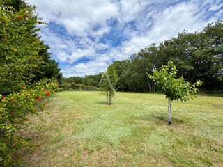  Terrain à vendre 1407 m²