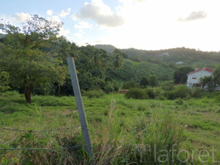  Terrain  vendre 1380 m